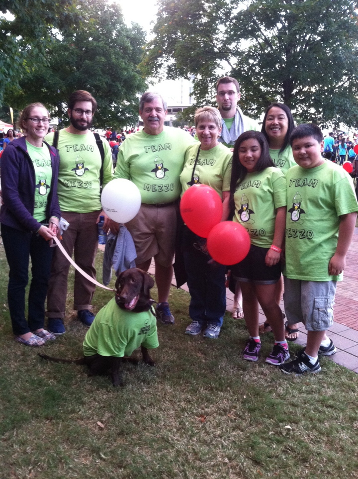 Lls Light The Night Walk Atlanta T-Shirt Photo