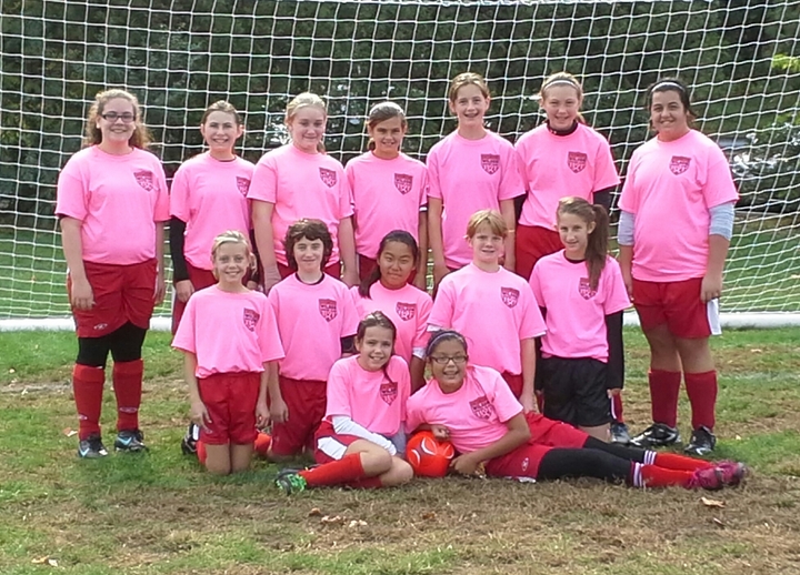 Wilson Soccer Club U13 Girls Breast Cancer Awareness T-Shirt Photo