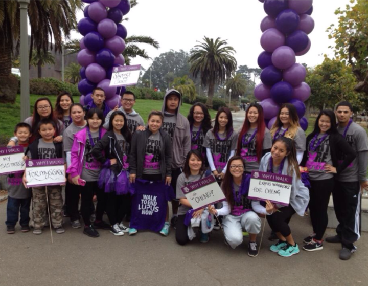 Lupus Walk 2013 T-Shirt Photo