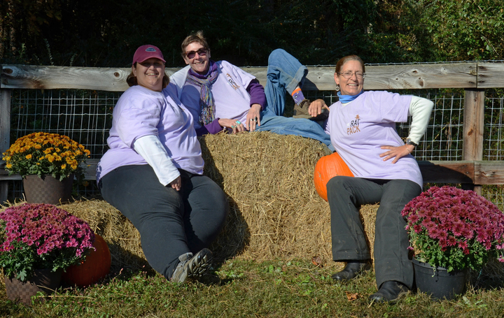 The Rat Pack Take A Rest After A Morning Of Barn Hunting T-Shirt Photo