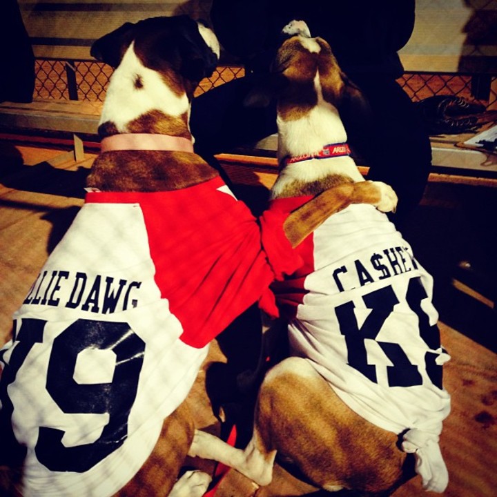 K9s4life T-Shirt Photo