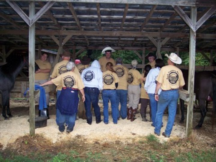 Showing Off The Better Sides. T-Shirt Photo