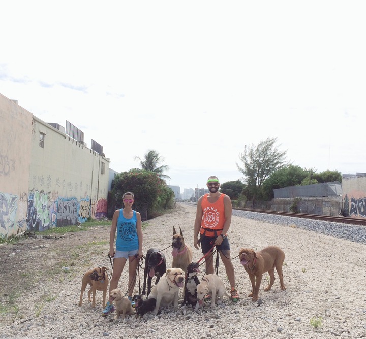 Barkhaus Crew T-Shirt Photo