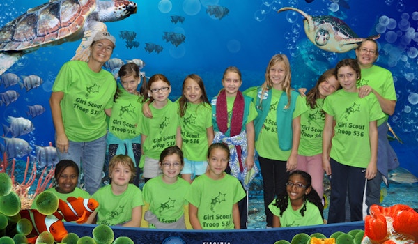 Girl Scouts That Know How To Make A Splash!!! T-Shirt Photo