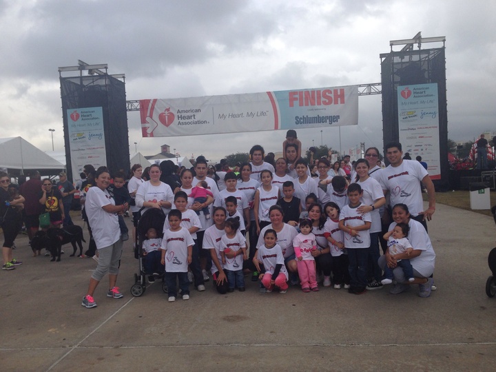 Team Daniella Heart Walk 2013 T-Shirt Photo
