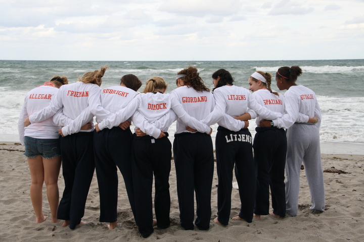 All For One & One For All!  T-Shirt Photo