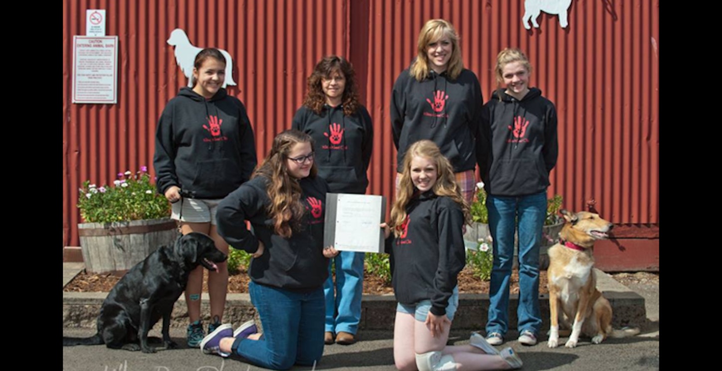 Picture of $ H Kitsap Kennel Club Custom T-Shirt Design $ H Kitsap Kennel Club T-Shirt Photo
