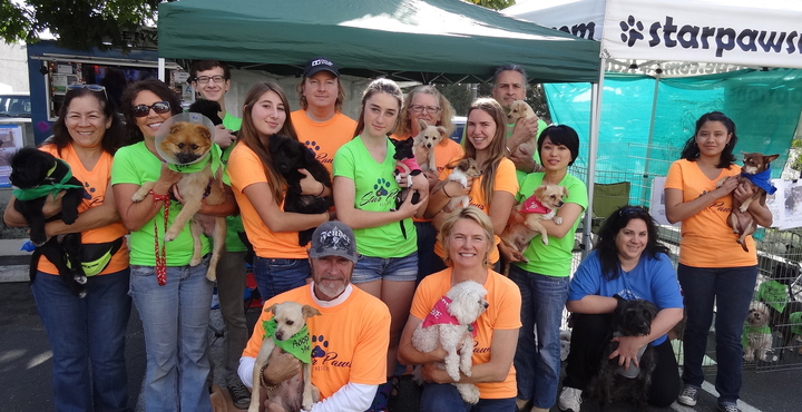 Spr Rescue Angels T-Shirt Photo