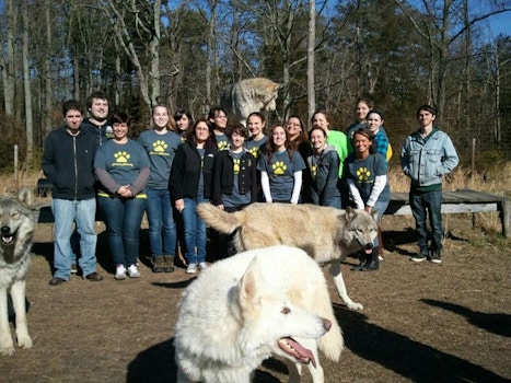 Trip To The Wolf Rescue! T-Shirt Photo