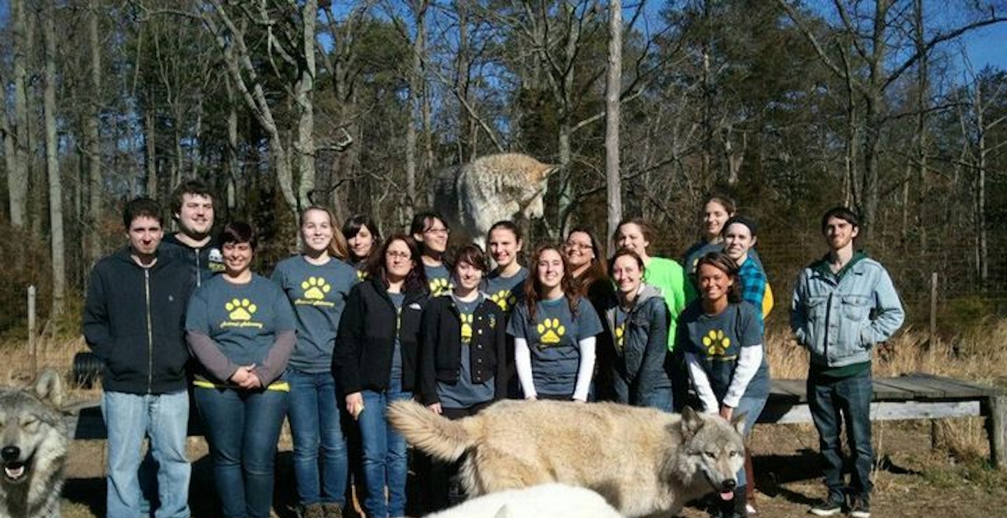 Picture of Trip To The Wolf Rescue! Custom T-Shirt Design Trip To The Wolf Rescue! T-Shirt Photo