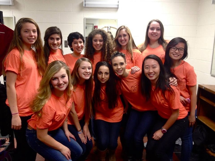 Echhs Alley Cats T-Shirt Photo