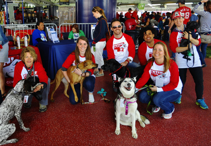 Fetch! Pet Care & The Nationals At Pups In The Park T-Shirt Photo
