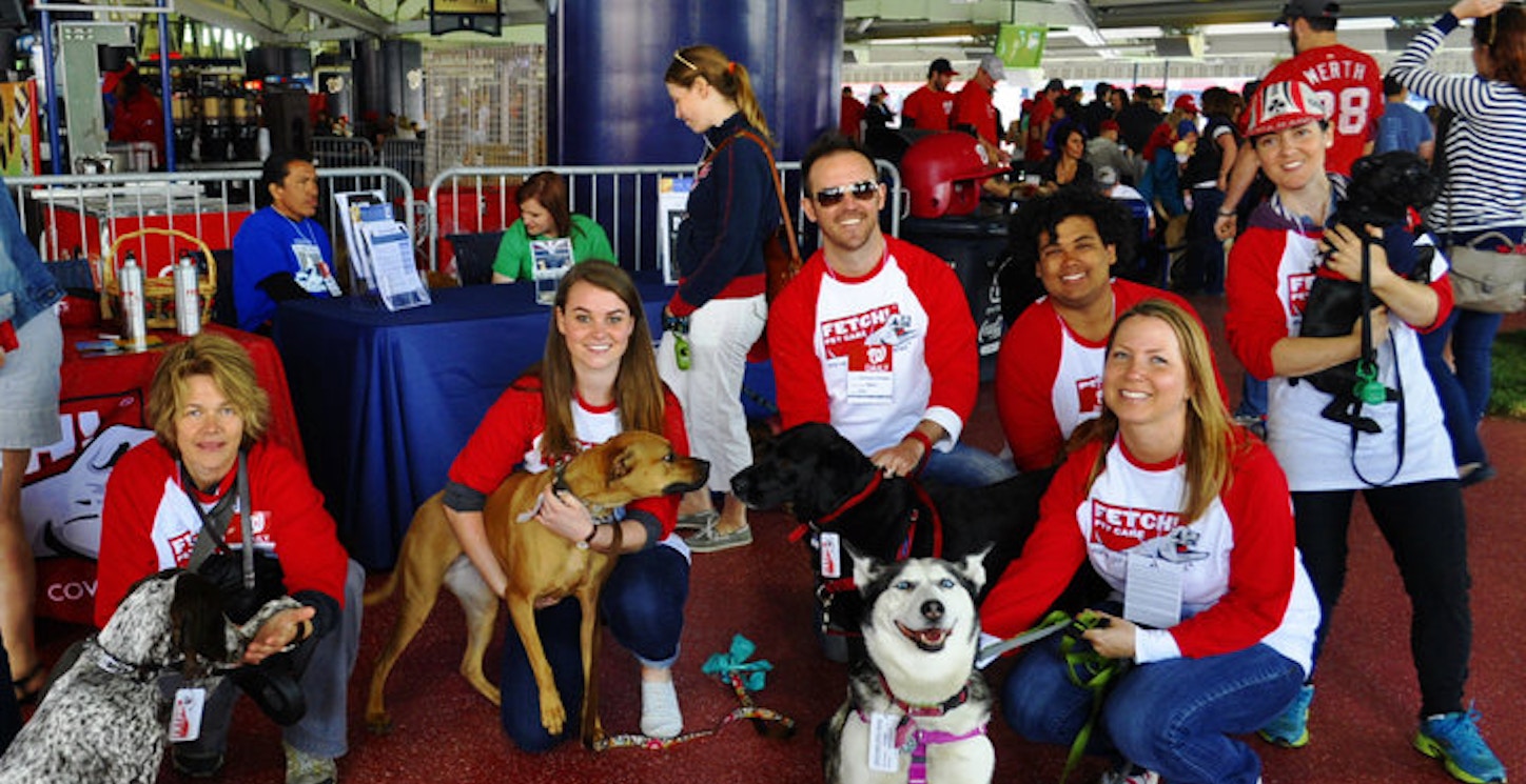 Fetch! Pet Care & The Nationals At Pups In The Park T-Shirt Photo