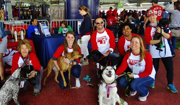 Fetch! Pet Care & The Nationals At Pups In The Park T-Shirt Photo