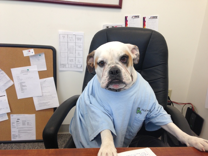 Complaint Dept T-Shirt Photo