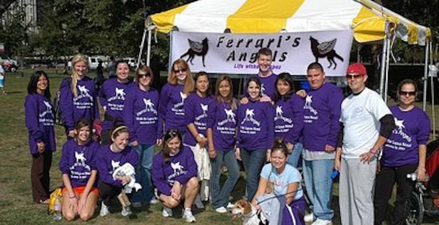 Picture of Ferrari's Angels Fight Against Lupus Custom T-Shirt Design Ferrari's Angels Fight Against Lupus T-Shirt Photo