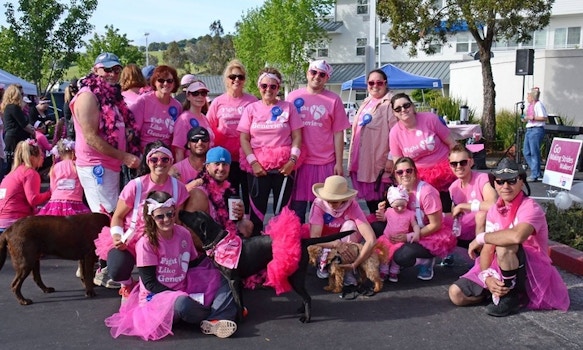 Making Strides Walk For Breast Cancer  T-Shirt Photo
