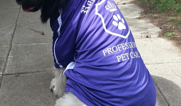 Newfy Griffin Sporting Our New T's! T-Shirt Photo