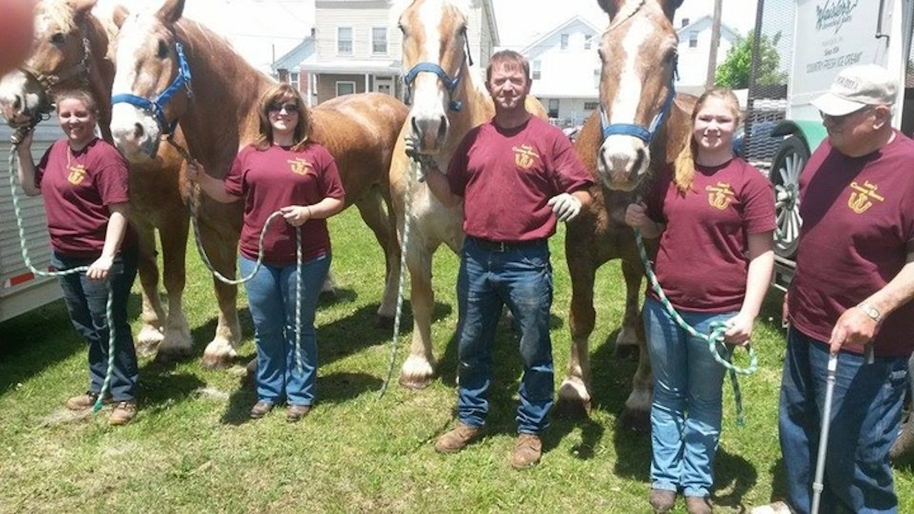 When It Comes To Horsepower, We've Got Tons! T-Shirt Photo