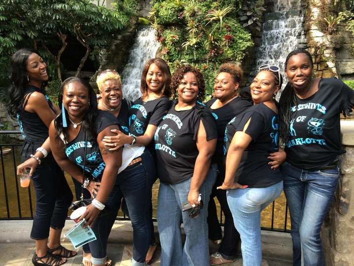 Housewives Of Charlotte T-Shirt Photo