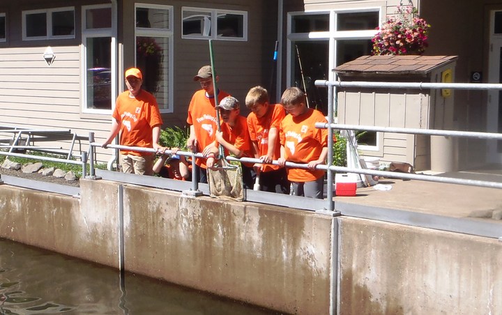 Hard Working Volunteers T-Shirt Photo