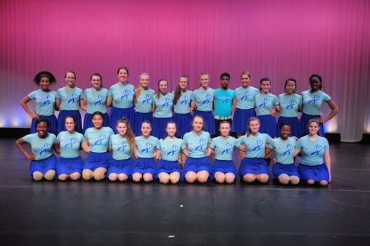 Spring Dance Concert Relay For Life 2014 T-Shirt Photo