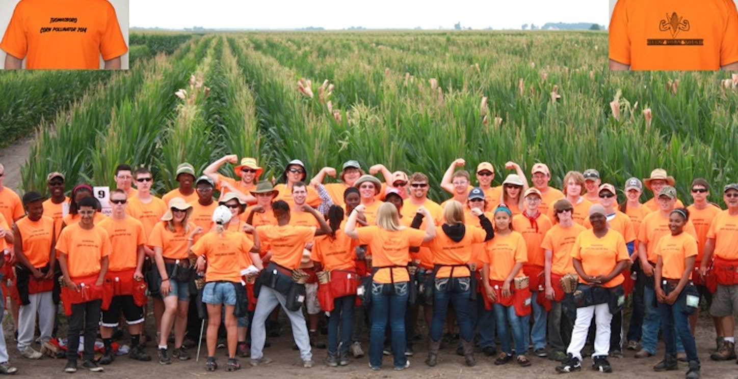 Picture of Pollination Crew 2014 Custom T-Shirt Design Pollination Crew 2014 T-Shirt Photo