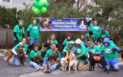St. Patrick's Day Chaos: Who Let The Dogs Out? T-Shirt Photo