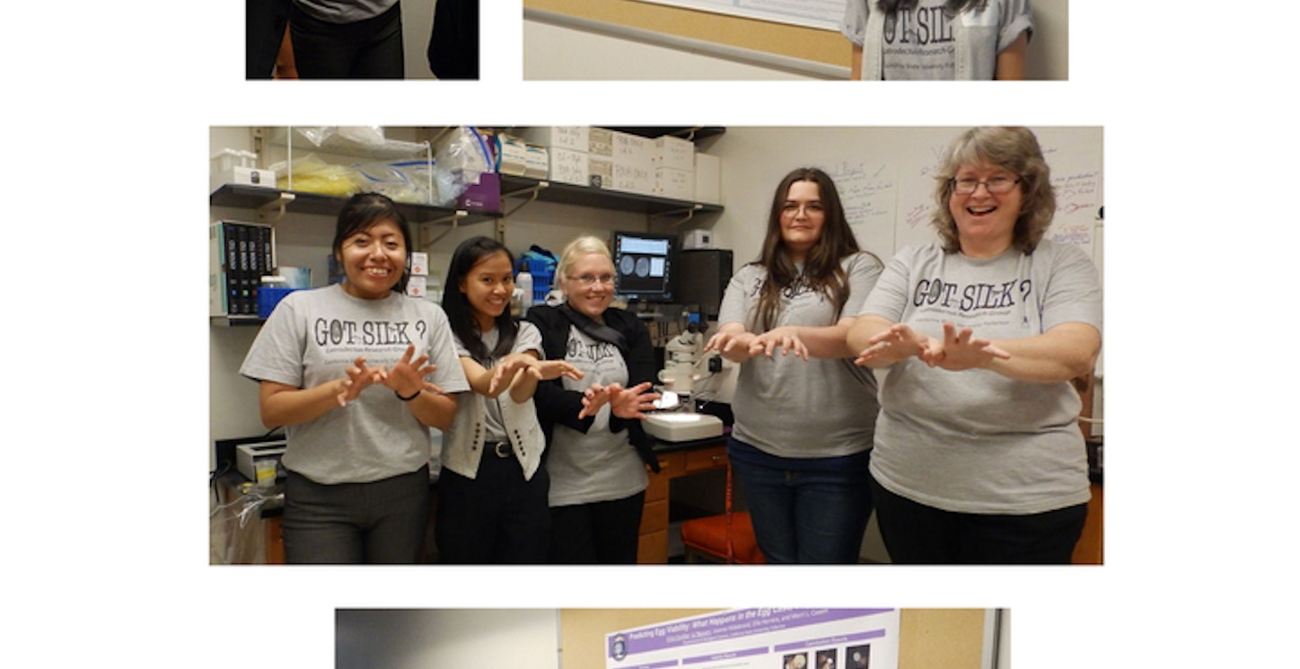 The Spider Lab At Cal State Fullerton Has Got Silk! T-Shirt Photo