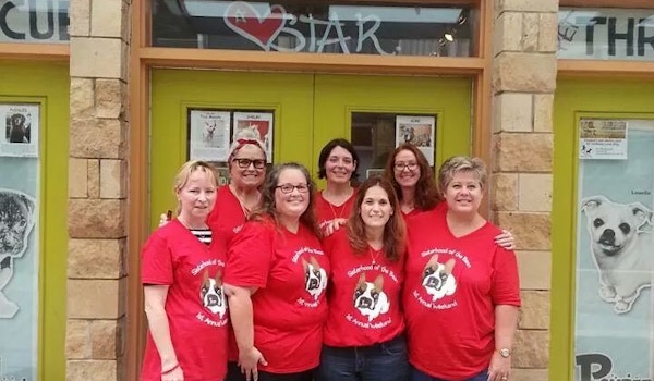 Picture of Sisterhood Of The Bean Custom T-Shirt Design Sisterhood Of The Bean T-Shirt Photo