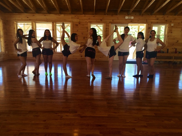 Dance Team 2014 T-Shirt Photo