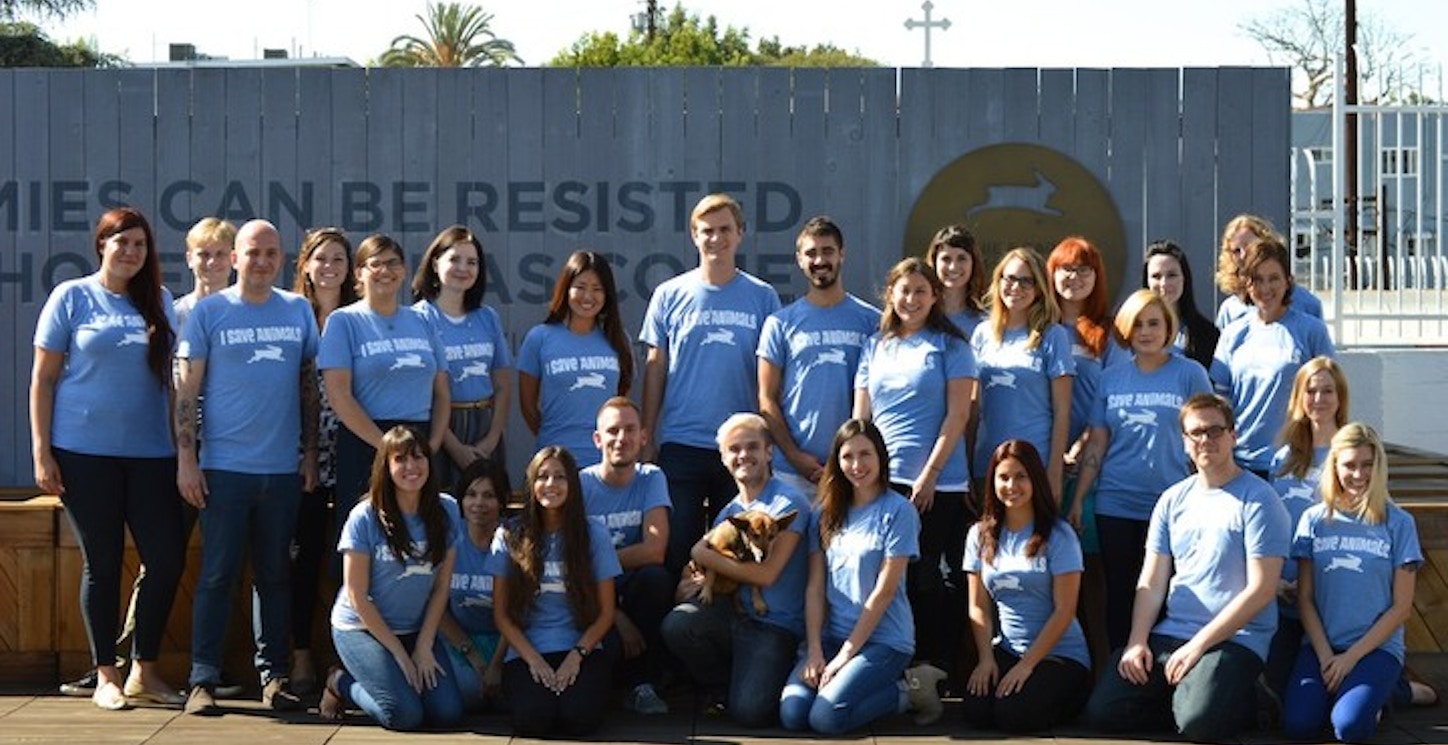 Picture of We Save Animals! Custom T-Shirt Design We Save Animals! T-Shirt Photo