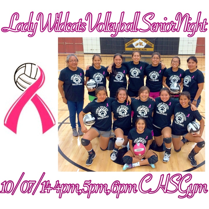 Lady Wildcats Volleyball T-Shirt Photo