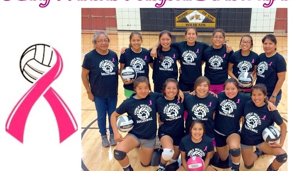 Lady Wildcats Volleyball T-Shirt Photo