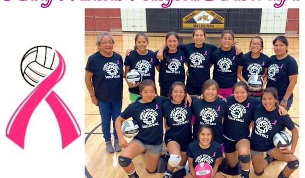 Picture of Lady Wildcats Volleyball Custom T-Shirt Design Lady Wildcats Volleyball T-Shirt Photo