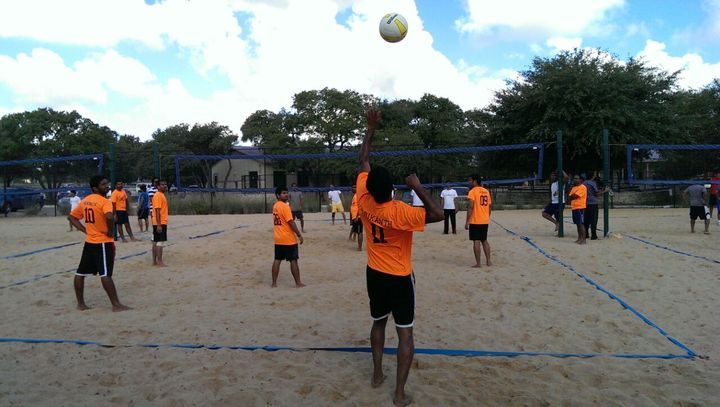 Volleyball Tigers T-Shirt Photo