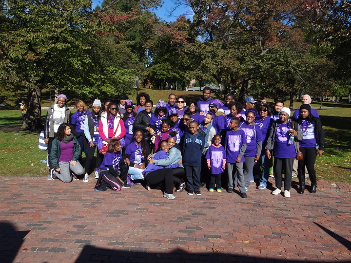 Walk To End Lupus T-Shirt Photo