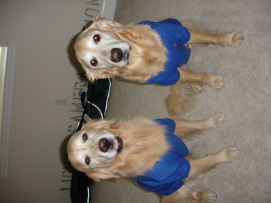 Racing Cuties T-Shirt Photo