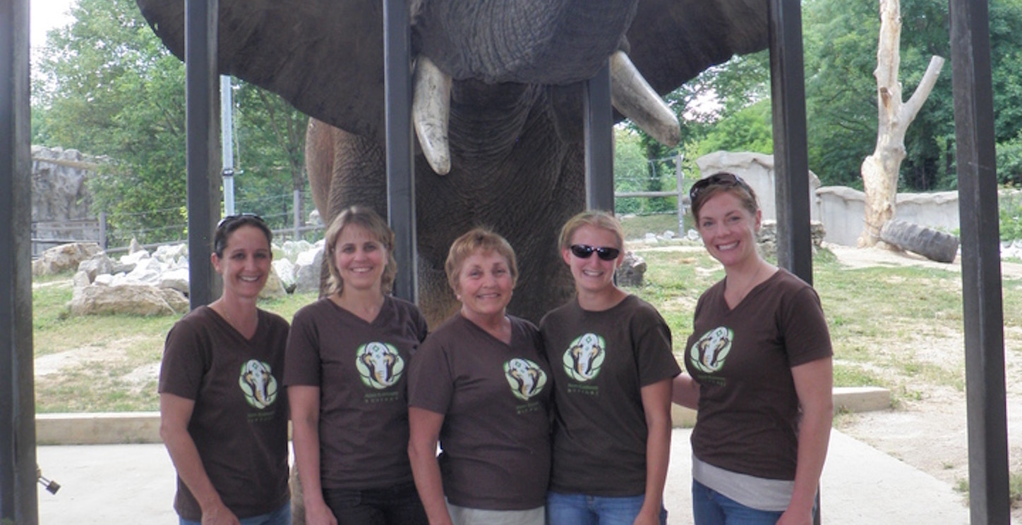 Asian Elephant Support Board T-Shirt Photo