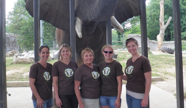 Asian Elephant Support Board T-Shirt Photo