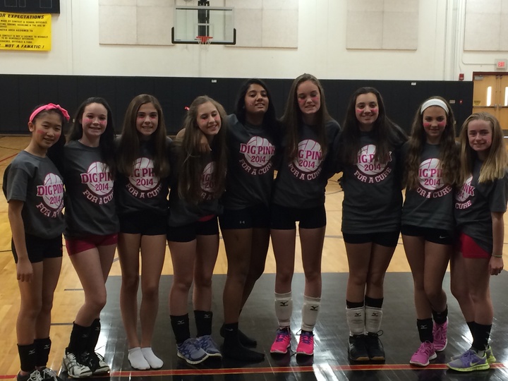 Dig Pink Volleyball T-Shirt Photo