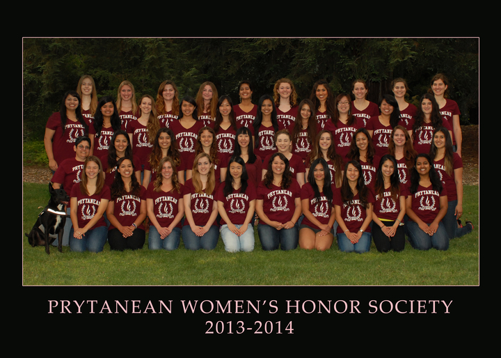 Spring T Shirt T-Shirt Photo