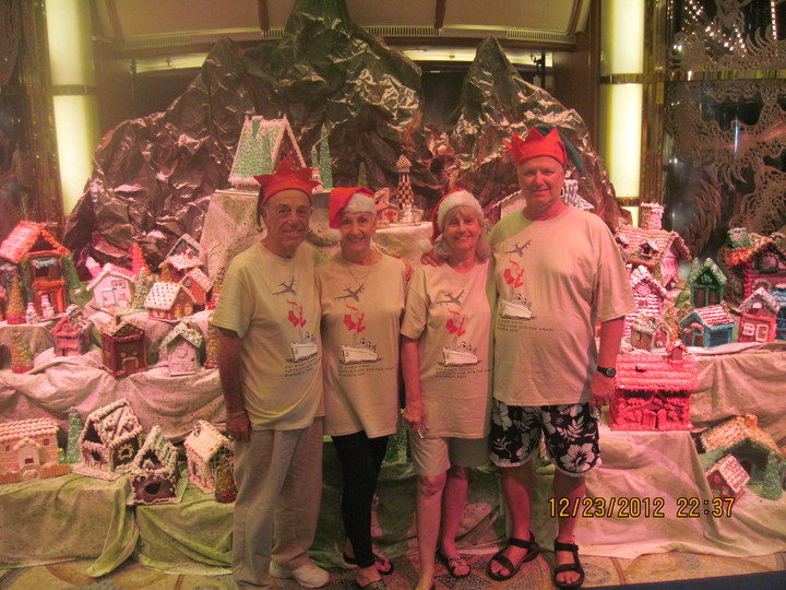 Christmas In New Zealand T-Shirt Photo