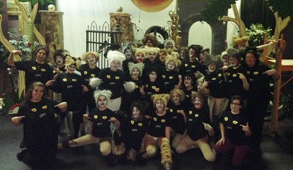 The Cast Of Cats!!! T-Shirt Photo