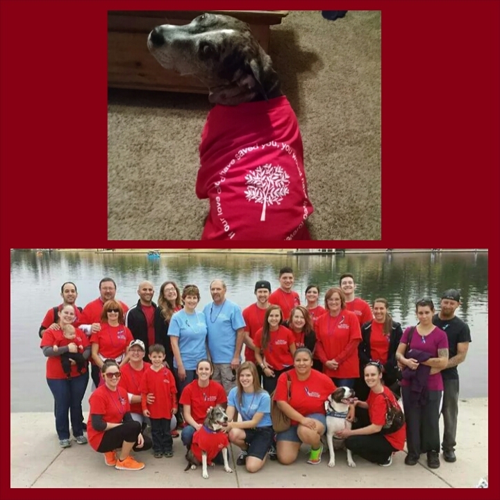 Walk For Suicide Prevention T-Shirt Photo