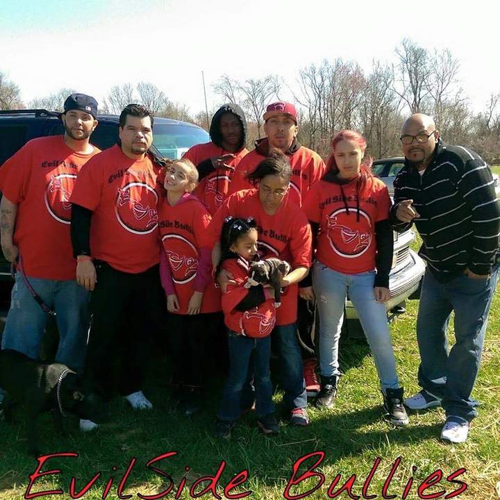 Rkc Dog Show T-Shirt Photo