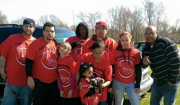 Picture of Rkc Dog Show Custom T-Shirt Design Rkc Dog Show T-Shirt Photo