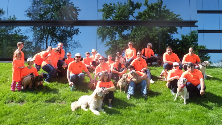 Walk Ms: Richmond T-Shirt Photo