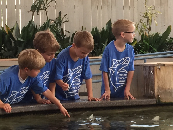 "Sea"Venth Birthday  T-Shirt Photo