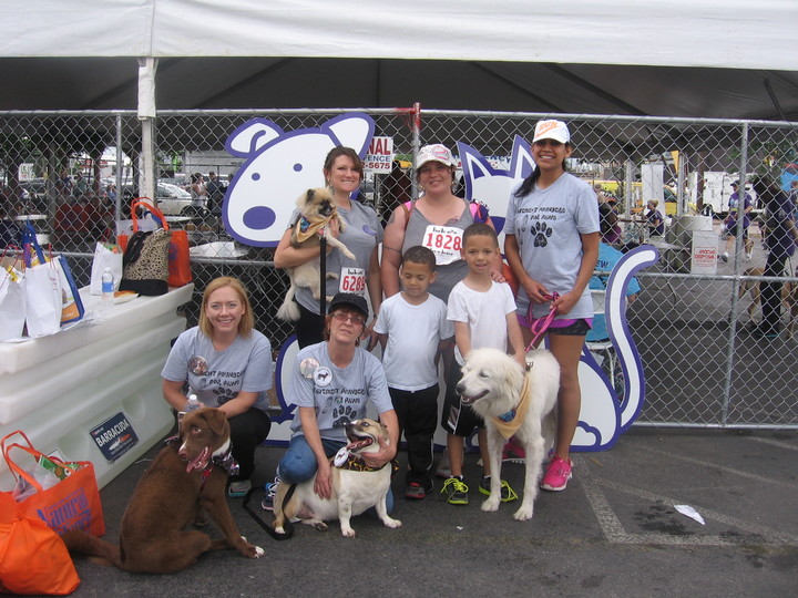 Pavement Pounders For Paws Team T-Shirt Photo